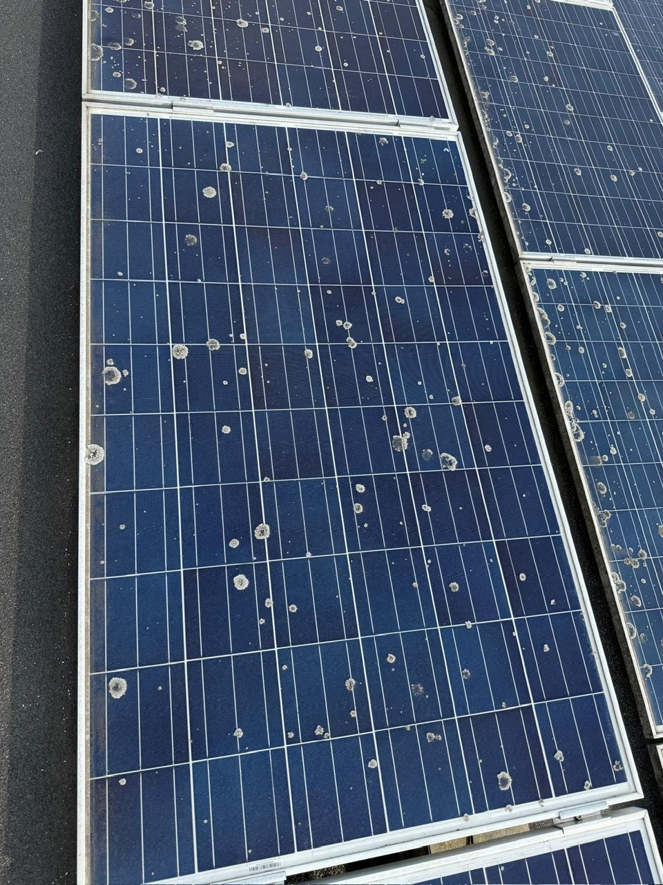 Zonnepanelen reinigen, voor de behandeling